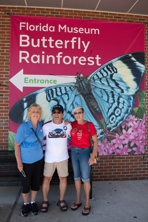 BMWZButterflyMuseumGainsville -5